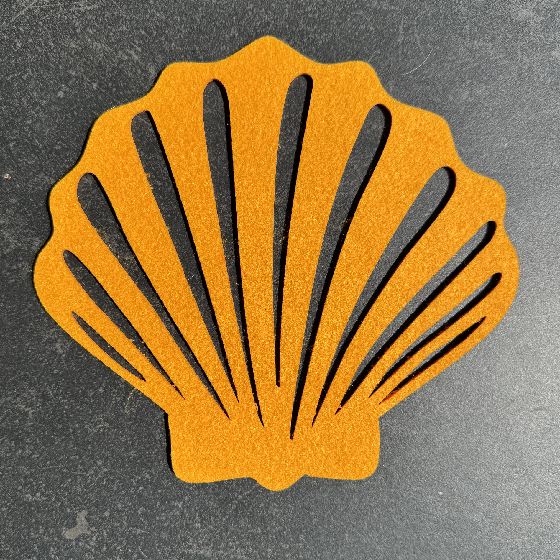 Filz Untersetzer MUSCHEL orange 