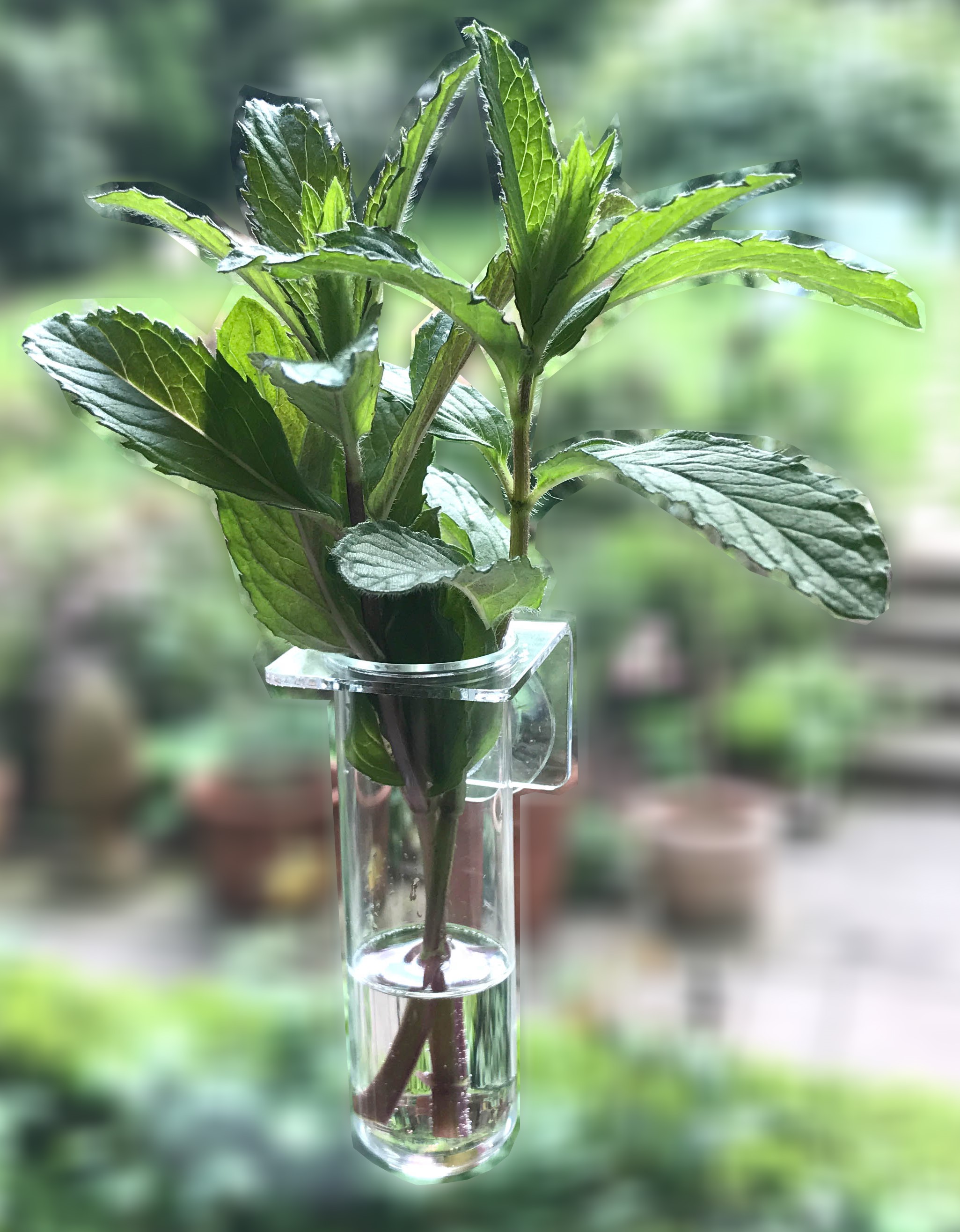 Schnittkräuter TUBE DUO