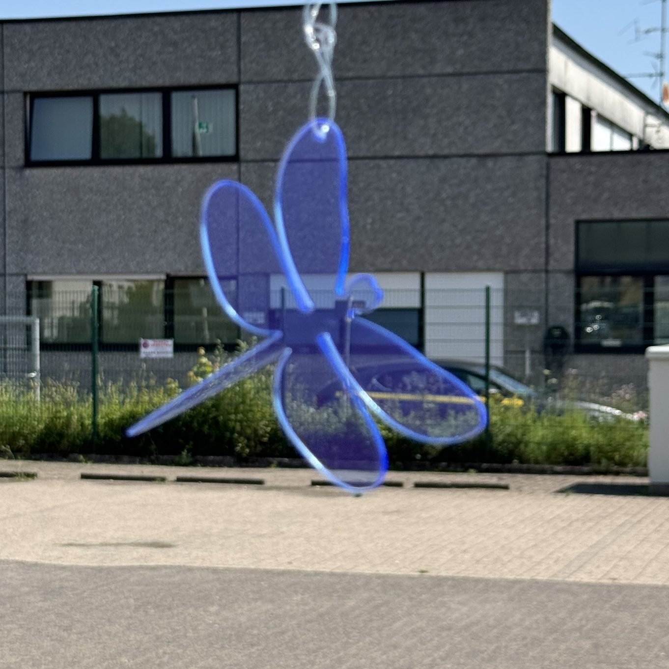 Acryl Libelle klein Neon blau