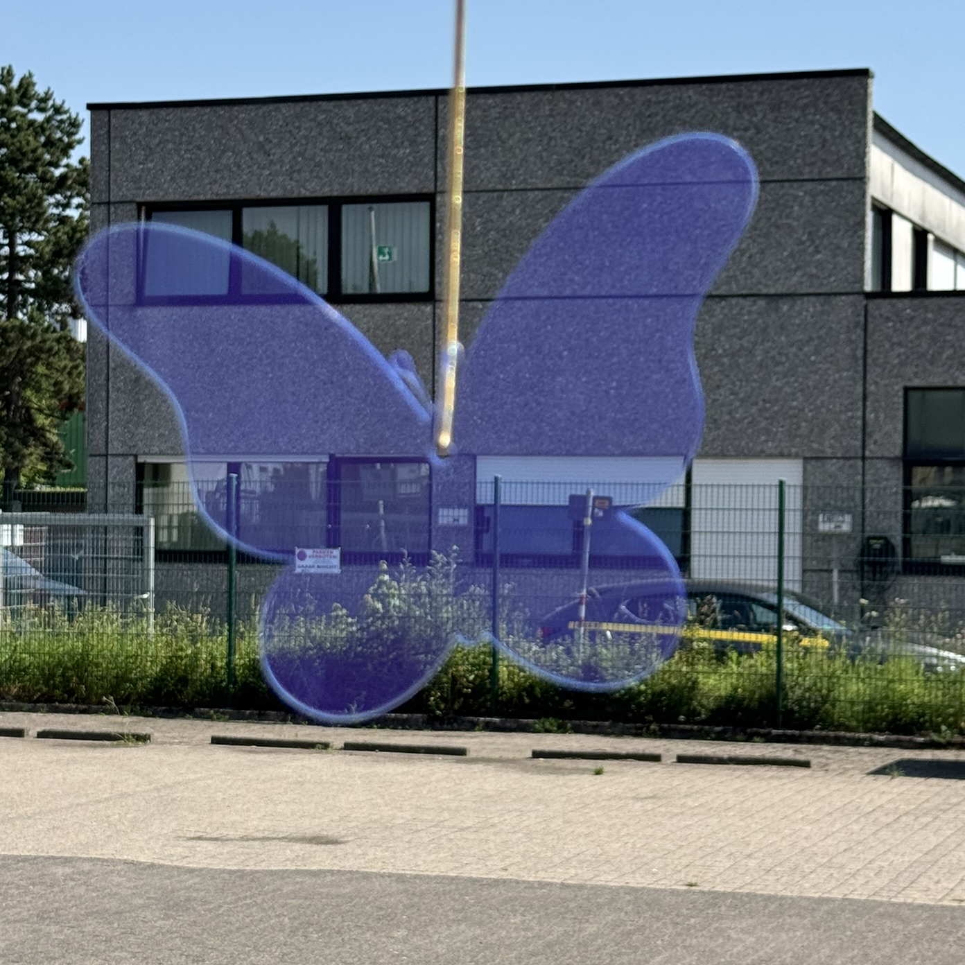 Acryl Schmetterling Neon blau