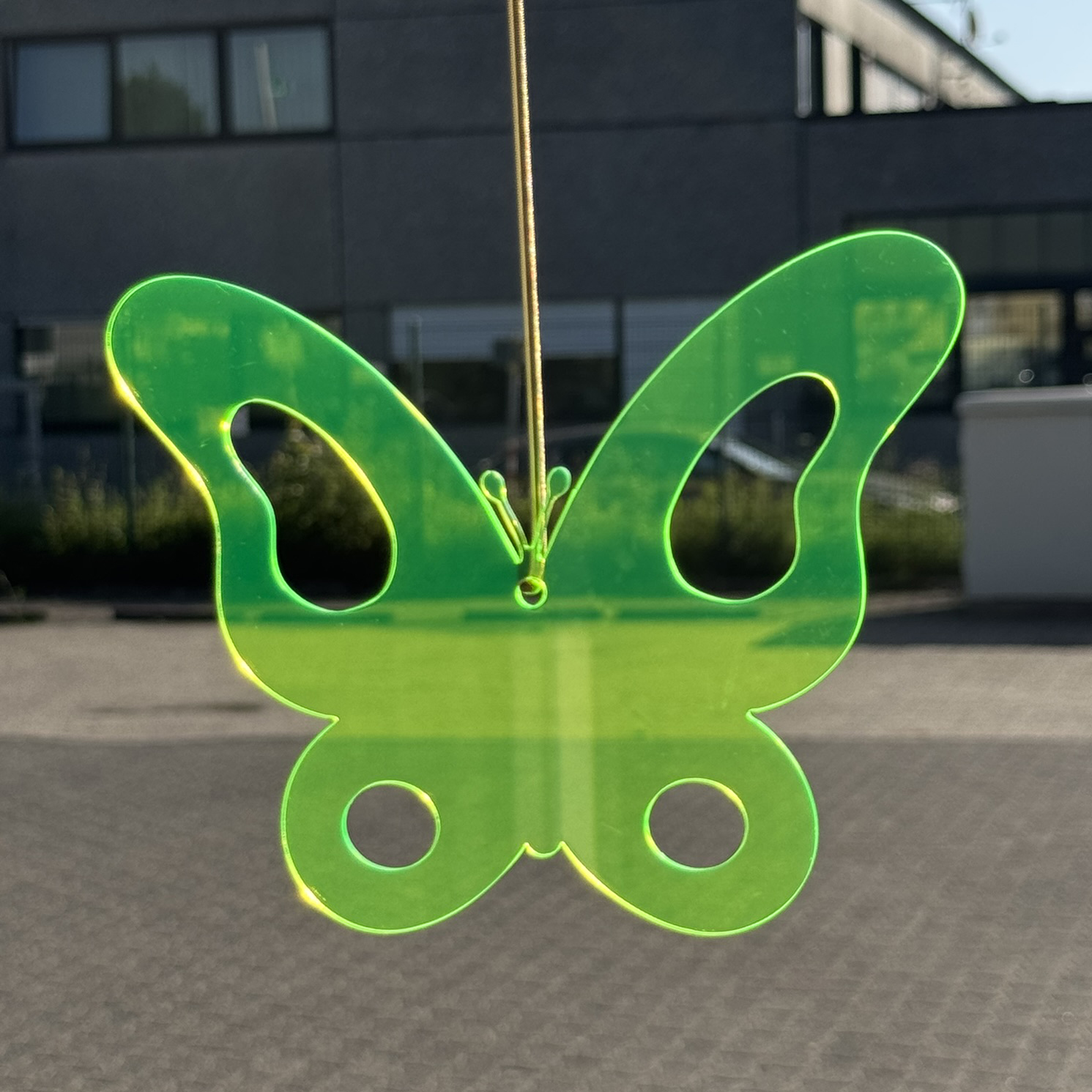 Acryl Schmetterling Neon geb