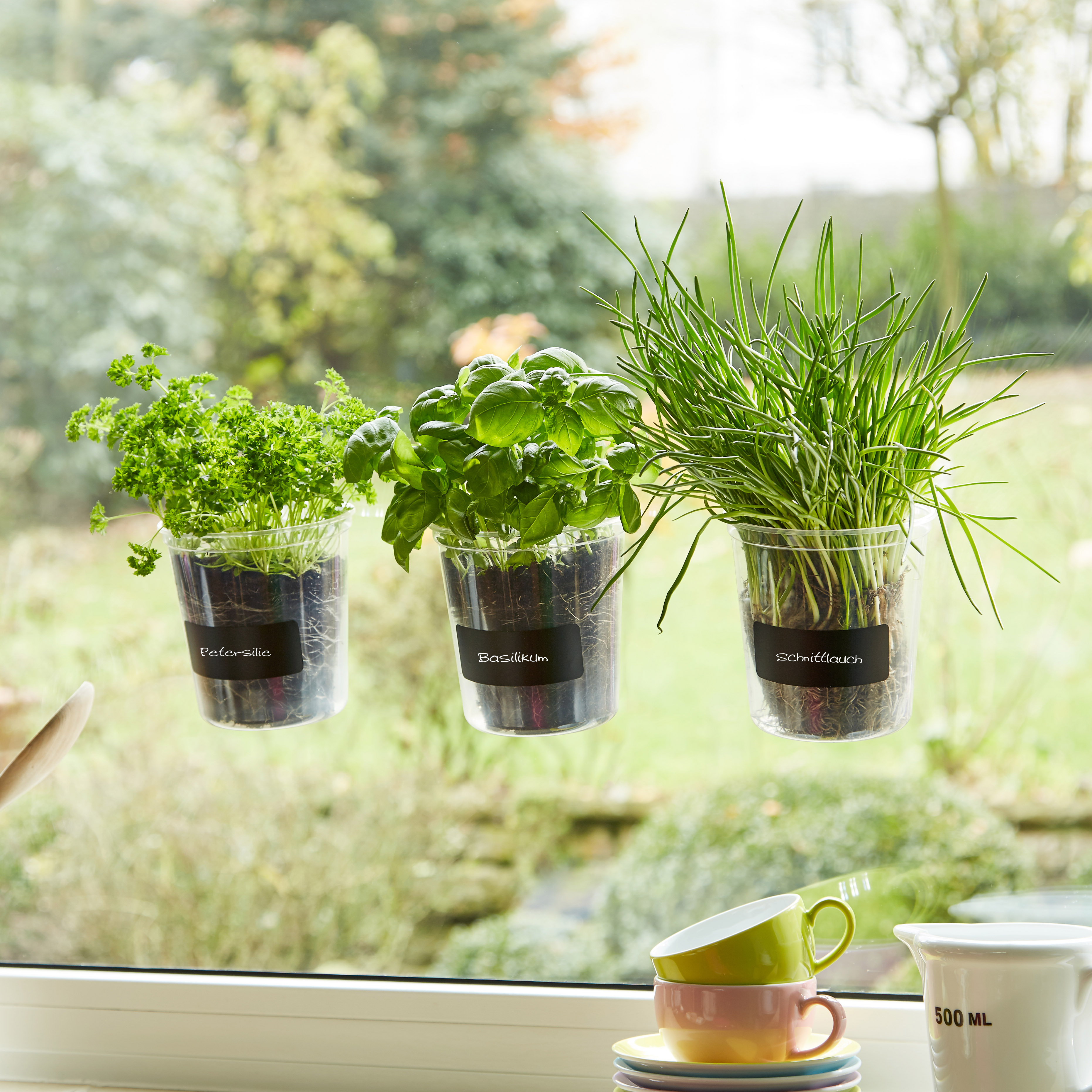 Kräutertopf TRIO