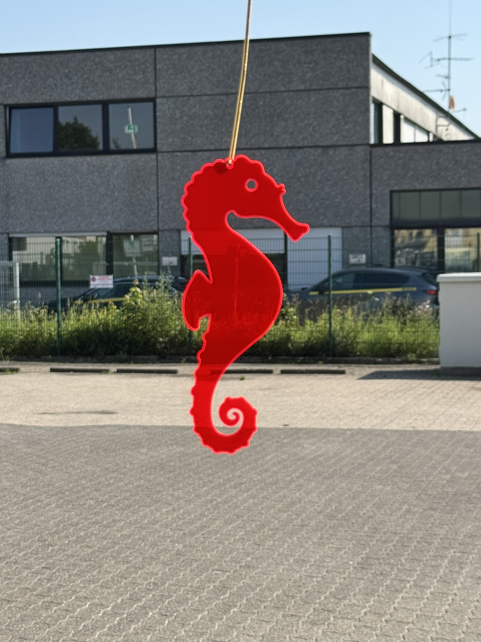 Acryl Seepferdchen Neon rot 