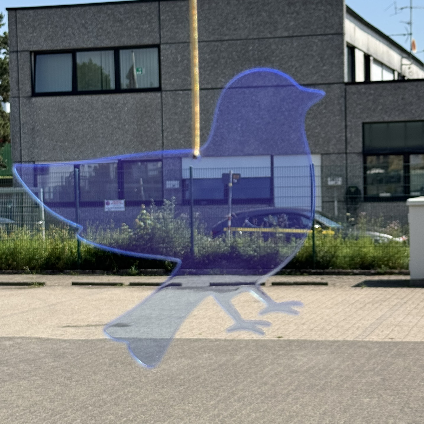 Acryl Vogel Neon blau