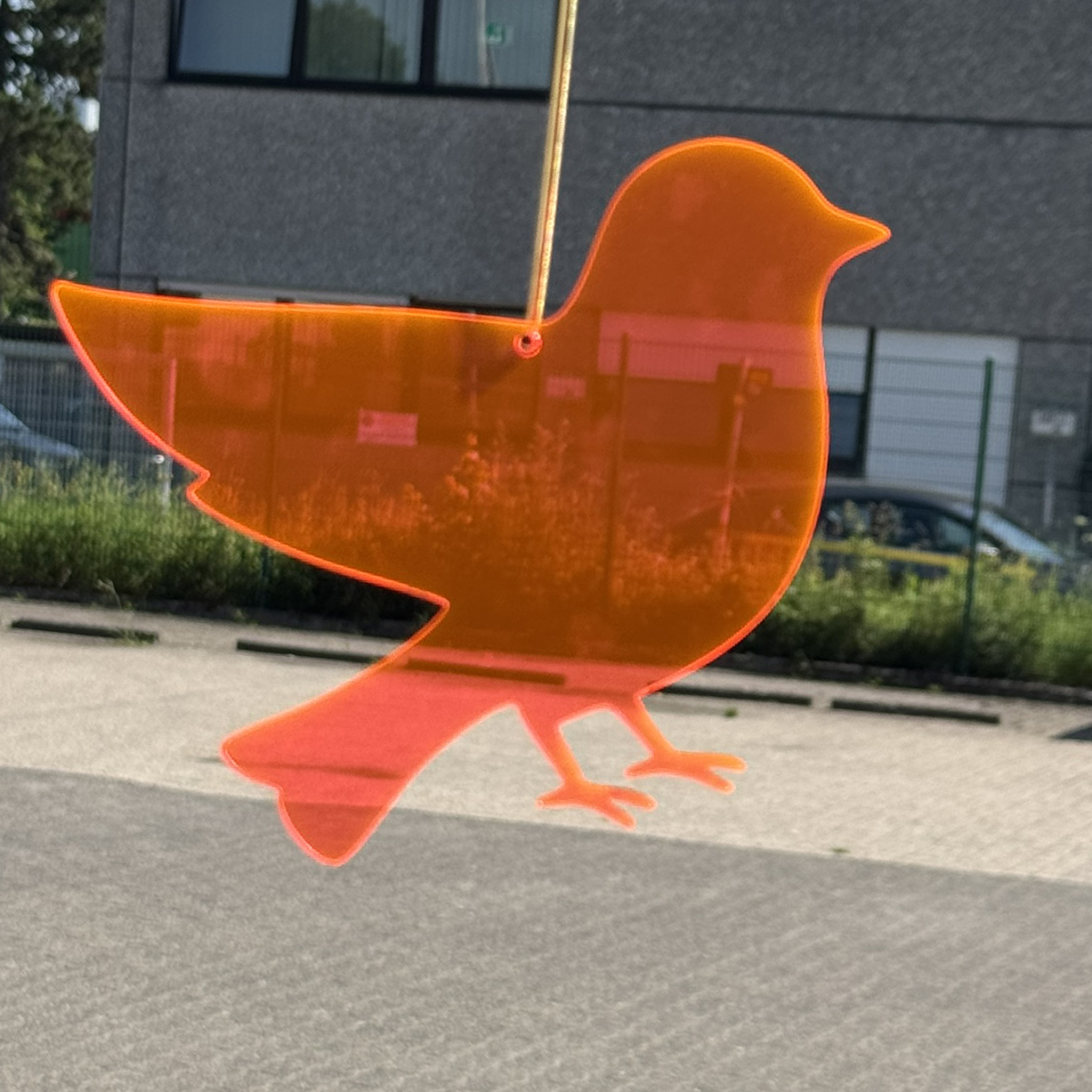 Acryl Vogel Neon orange